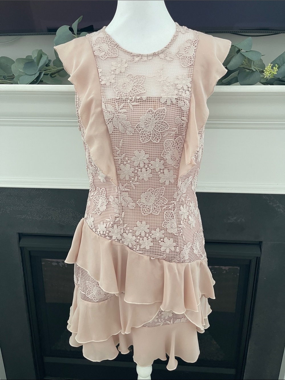 Parker Gabriel blush pink Lace Ruffle Dress
Size 6